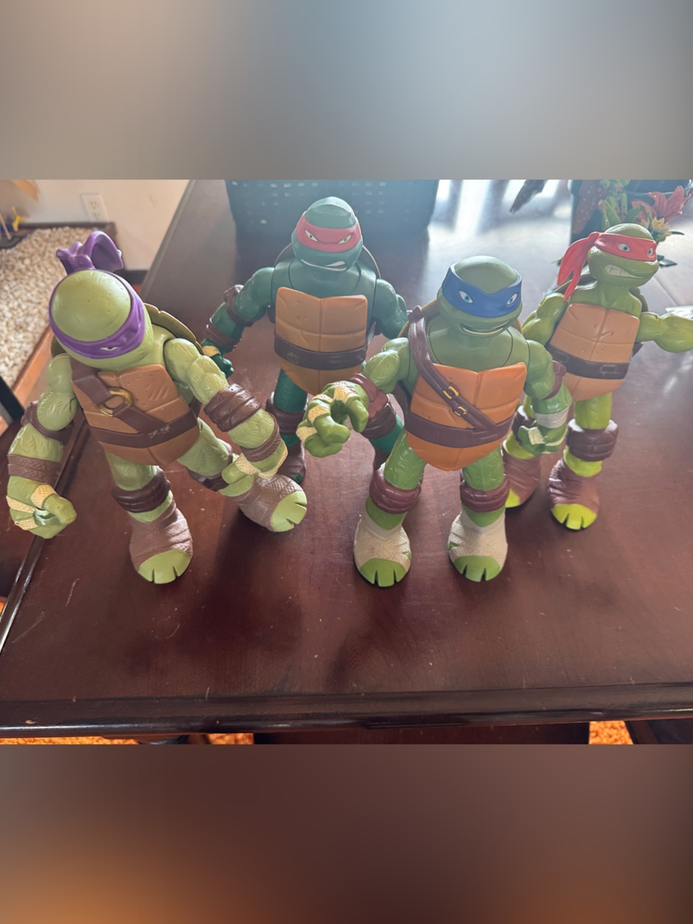 Viacom Set of 4 Teenage Mutant Ninja Turtles